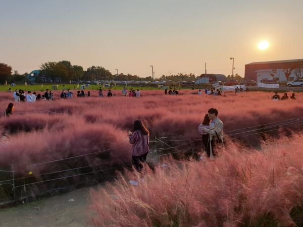 평택「바람새마을 소풍정원」이 코로나 시대 가장 안전하고 편안한 여행지로 전국 7위에 랭크됐다.(사진=평택시)