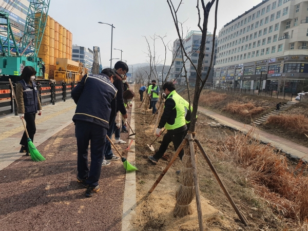 목감동 행정복지센터는 15일 다가오는 따뜻한 봄을 맞아 양달천변 일대에 유채꽃, 양화 코스모스 등 계절별 꽃을 식재했다. (사진=시흥시)