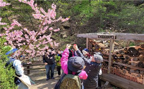 성북구 치매안심센터가  (사)숲생태지도자협회와 치매 예방 및 치유적 환경 조성과 치매 안전망 구축을 위한 업무협약을 체결하고 오는 10월까지 숲과 산림의 환경요소를 활용한 힐링숲속여행 ‘숨쉬다’를 운영한다. (사진=성북구)