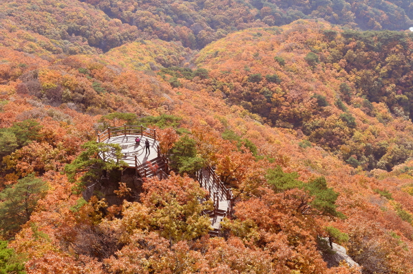 가을 끝자락 입동(立冬)을 앞둔 2일 양주시 남면 감악산의 등허리를 휘감은 오색빛깔 단풍이 무르익어 산을 찾는 등산객들에게 완연한 가을 정취를 전하고 있다.(사진=양주시)