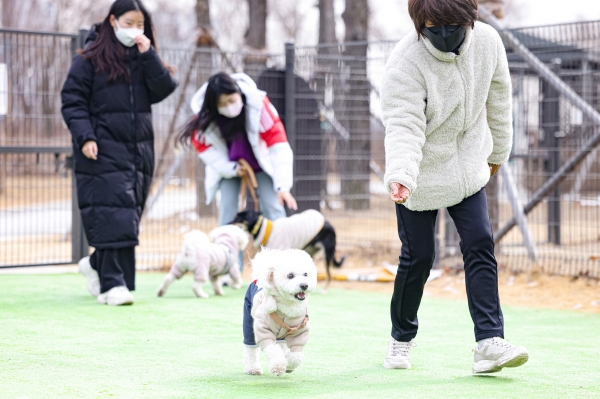 의왕시 초평동에 위치한 반려견 놀이터에서 반려견이 즐거운 시간을 보내고 있다. (사진=의왕시)