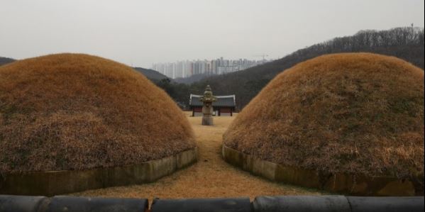 경기도 김포시 풍무동 장릉과 장릉에서 보이는 '왕릉뷰 아파트'의 모습. /뉴스핌