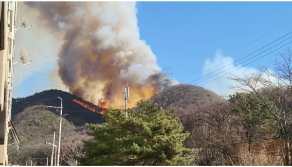 지난 주말 안산 수리산에서 발생한 산불 (사진=장병옥기자)