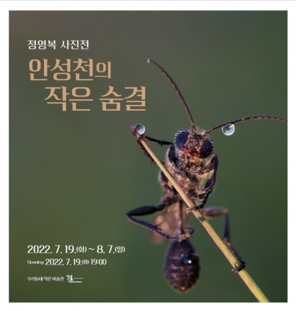 지난 19일 안성시가 ‘안성천의 작은 숨결’을 주제로 정영복 작가의 이색 사진전을 열었다고 밝혔다.(사진=안성시)