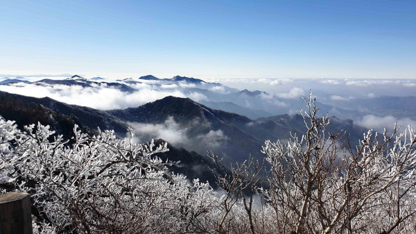 무주덕유산리조트 설경. 사진 = 부영그룹