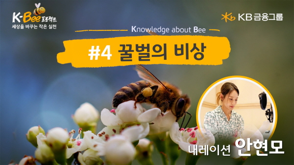 KB금융, 세계 벌의 날 맞아 K-BEE 프로젝트 영상 캠페인 4탄 ‘꿀벌의 비상’ 편 공개. 사진 = KB금융