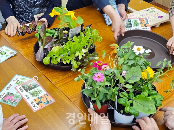 연수구 치매안심센터의 “기억해, 봄! 치유농업 프로그램” 운영 모습. 사진제공=연수구