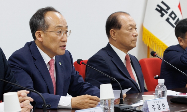 추경호 국민의힘 원내대표가 17일 오전 서울 여의도 국민의힘 중앙당사에서 열린 비상대책위원회의에서 모두발언을 하고 있다. 2024.06.17/뉴스핌