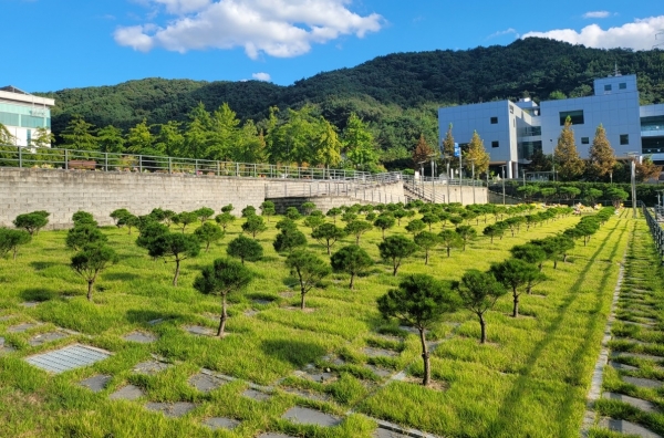 용인 평온의숲이 용인 평온의숲 자연장지에 새롭게 조성된 수목장 4위형을 운영한다./용인도시공사